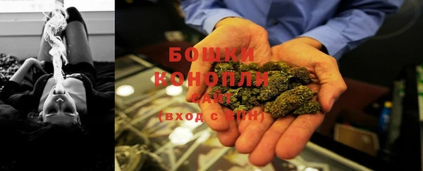 ПСИЛОЦИБИНОВЫЕ ГРИБЫ Михайловск