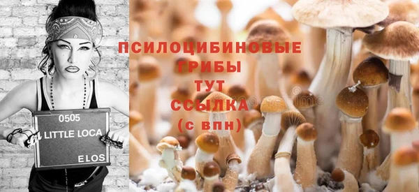 гашишное масло Белокуриха