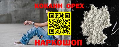 гашик Аргун