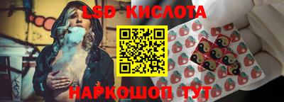 гашик Аргун