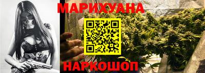 гашик Аргун