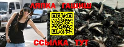 гашик Аргун