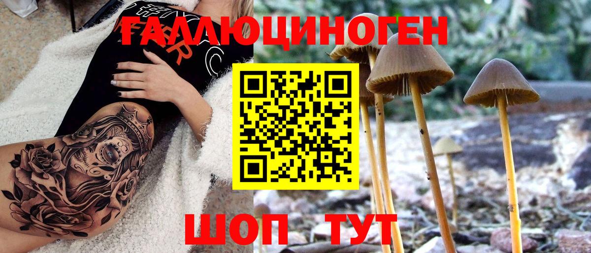 Галлюциногенные грибы мицелий  Вход с VPN  Беслан 