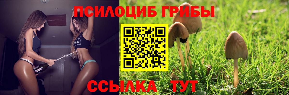 Псилоцибиновые грибы мухоморы Беслан