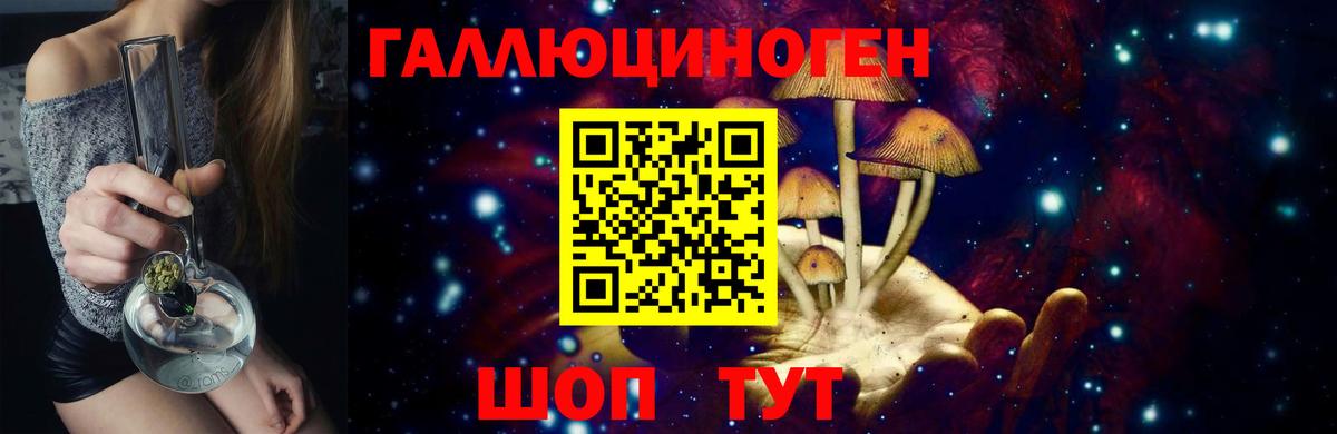 Галлюциногенные грибы Cubensis Беслан