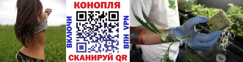 маркетплейс состав  Беслан  МАРИХУАНА VHQ  где можно купить наркотик 
